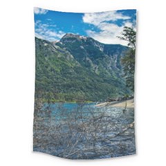 Beach At Los Alerces National Park, Chubut Province, Argentina Large Tapestry by dflcprintsclothing