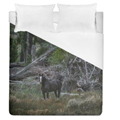 Meadow Landscape, Los Altares, Chubut Province, Argentina Duvet Cover (queen Size) by dflcprintsclothing