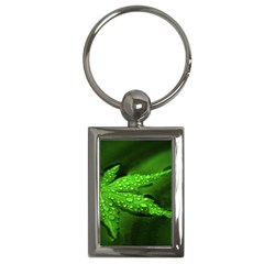 Leaf With Drops Key Chain (rectangle) by Siebenhuehner