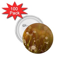 Waterdrops 1 75  Button (100 Pack)