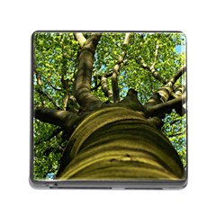 Tree Memory Card Reader With Storage (square) by Siebenhuehner