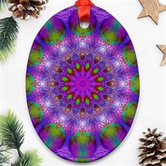 Rainbow At Dusk, Abstract Star Of Light Oval Ornament (two Sides) by DianeClancy