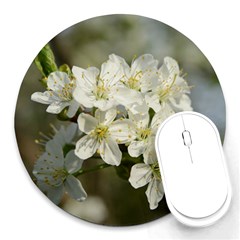 Spring Flowers 8  Mouse Pad (round) by anstey