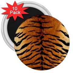 Tiger Fur 3  Magnets (10 Pack)  by trendistuff