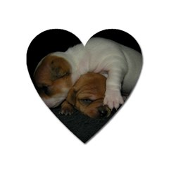 Adorable Baby Puppies Heart Magnet by trendistuff