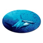 HAMMERHEAD Oval Magnet Front