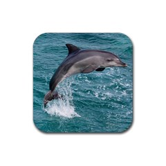 Dolphin Rubber Coaster (square)  by trendistuff