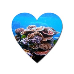 Coral Outcrop 2 Heart Magnet by trendistuff