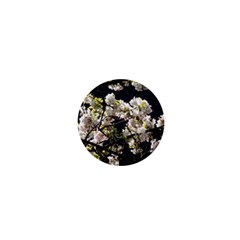 Japanese Cherry Blossom 1  Mini Buttons