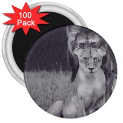 King And Queen Of The Jungle Design  3  Magnets (100 Pack)