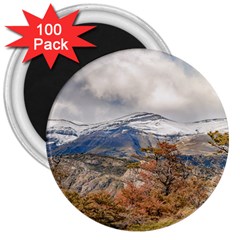 Forest And Snowy Mountains, Patagonia, Argentina 3  Magnets (100 Pack) by dflcprints