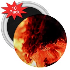 Fire Log Heat Texture 3  Magnets (10 Pack)  by Nexatart