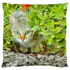 Hidden Domestic Cat With Alert Expression Standard Flano Cushion Case (one Side) by dflcprints