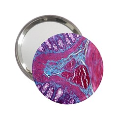 Natural Stone Red Blue Space Explore Medical Illustration Alternative 2 25  Handbag Mirrors