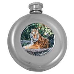 Animal Big Cat Safari Tiger Round Hip Flask (5 Oz) by Celenk