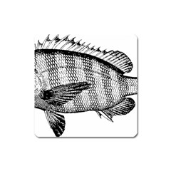 Animal Fish Ocean Sea Square Magnet by Celenk