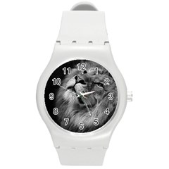 Feline Lion Tawny African Zoo Round Plastic Sport Watch (m) by BangZart