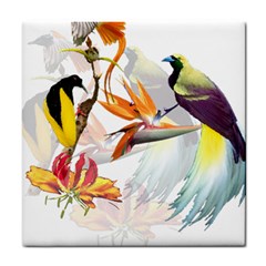 Birds Of Paradise Tile Coasters by TKKdesignsCo