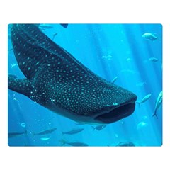 Whale Shark 2 Double Sided Flano Blanket (large)  by trendistuff