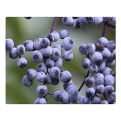 Blueberries 2 Double Sided Flano Blanket (large)  by trendistuff