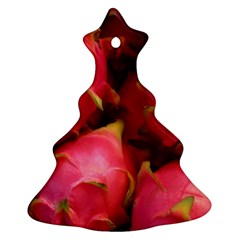 Dragonfruit Christmas Tree Ornament (two Sides) by trendistuff