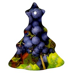 Grapes 1 Christmas Tree Ornament (two Sides) by trendistuff