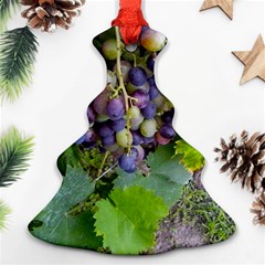 Grapes 2 Christmas Tree Ornament (two Sides) by trendistuff