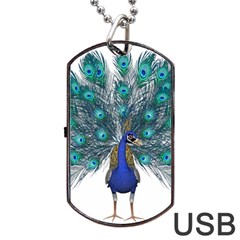 Peacock Bird Peacock Feathers Dog Tag Usb Flash (two Sides) by Sapixe