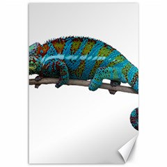 Reptile Lizard Animal Isolated Canvas 12  X 18   by Sapixe