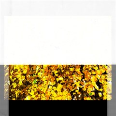 Birch Tree Yellow Leaves Rectangular Jigsaw Puzzl by FunnyCow