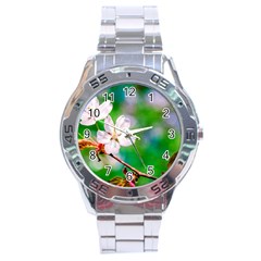 Sakura Flowers On Green Stainless Steel Analogue Watch by FunnyCow