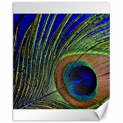 Peacock Feather Macro Peacock Bird Canvas 16  X 20  by Simbadda