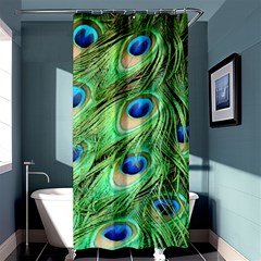 Peacock Feathers Peafowl Shower Curtain 36  X 72  (stall)  by Wegoenart