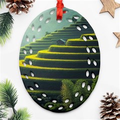 Scenic View Of Rice Paddy Ornament (oval Filigree) by Sudhe