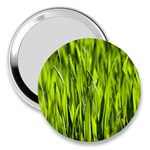 Agricultural field   3  Handbag Mirrors Front