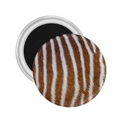 Skin Zebra Striped White Brown 2 25  Magnets by Pakrebo