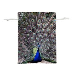 Peacock Bird Feather Plumage Green Lightweight Drawstring Pouch (m)