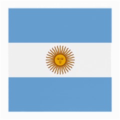 Argentina Flag Medium Glasses Cloth by FlagGallery