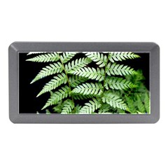 Fern Plant Leaf Green Botany Memory Card Reader (mini) by Pakrebo