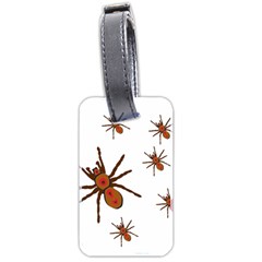 Insect Spider Wildlife Luggage Tag (two Sides) by Mariart