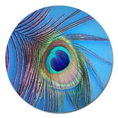 Nature Bird Wing Texture Animal Male Wildlife Decoration Pattern Line Green Color Blue Colorful Magnet 5  (round) by Vaneshart