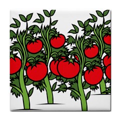 Tomato Garden Vine Plants Red Tile Coaster by HermanTelo