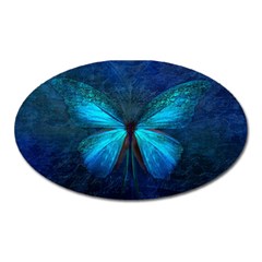 Animal Butterfly Insect Oval Magnet by Vaneshart