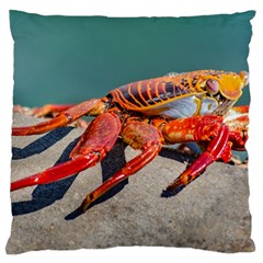 Colored Crab, Galapagos Island, Ecuador Large Flano Cushion Case (one Side) by dflcprintsclothing