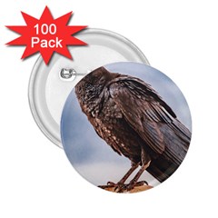 Black Crow Standing At Rock 2 25  Buttons (100 Pack)  by dflcprintsclothing