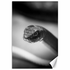 Black And White Snake Canvas 12  X 18  by ExtraAwesomeSauce