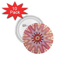 Pink Beauty 1 1 75  Buttons (10 Pack) by LW41021