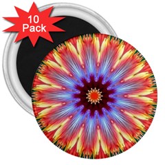 Passion Flower 3  Magnets (10 Pack)  by LW323