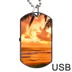 Sunset Beauty Dog Tag Usb Flash (two Sides) by LW323