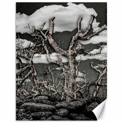 Dark Fantasy Landscape Poster Canvas 12  X 16  by dflcprintsclothing